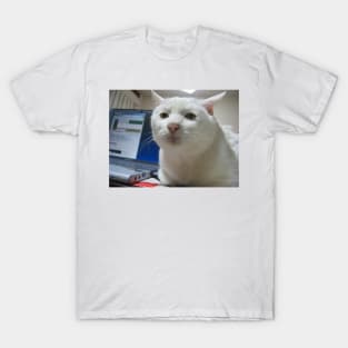 Serious Cat Meme T-Shirt